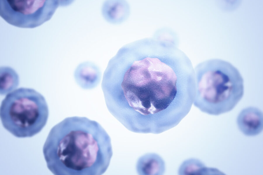 Want to harness the power of your own stem cells? 