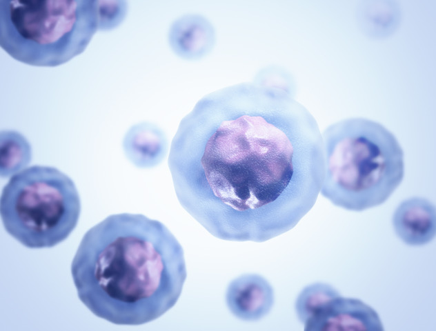 Want to harness the power of your own stem cells? 